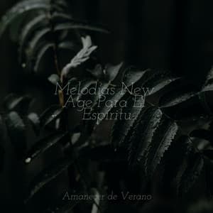 Melodías New Age Para El Espíritu - Relaxing Spa Music