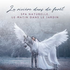 La rivière dans de forêt: Spa naturelle, Le matin dans le jardin - Club de Méditer de Détendre