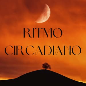 Ritmo Circadiano - Ecos Débiles