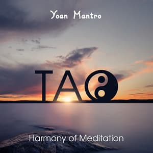 Tao - Yoan Mantro