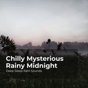 Chilly Mysterious Rainy Midnight - Deep Sleep Rain Sounds