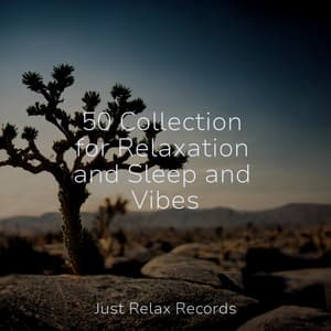 50 Collection for Relaxation and Sleep and Vibes - Rest & Relax Nature Sounds Artists