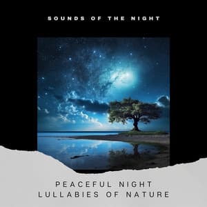 Peaceful Night: Lullabies of Nature - Sounds of the Night