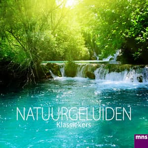 Natuurgeluiden Klassiekers - Ontspanning