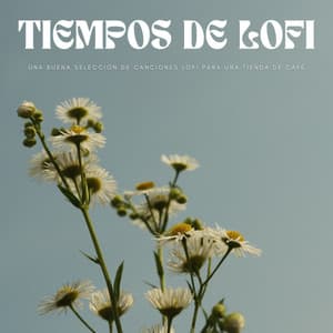 Tiempos De Lofi: Una Buena Selección De Canciones Lofi Para Una Tienda De Café - Cafetería Jazz