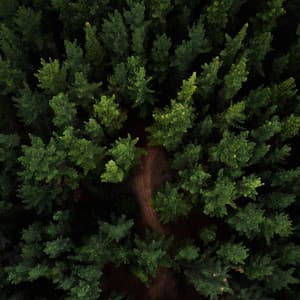 Colic Relief Sound - Pink Noise Baby Sleep