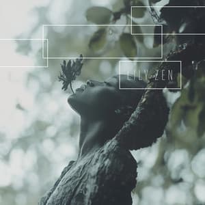 Declutter Your Mind - Lily Zen