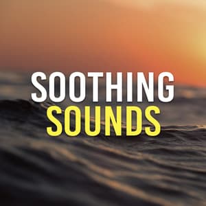 Soothing Sounds - Rain Recorders