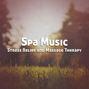Spa Music for Stress Relief and Massage Therapy - Spa, Relaxation and Dreams