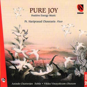 Pure Joy, Vol. 2 - Pandit Hariprasad Chaurasia