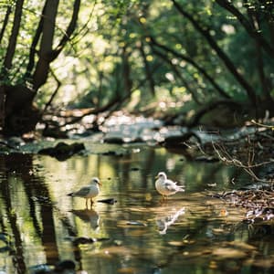 Binaural Birds and Creek for Calming Baby in Nature - World Miracle Pregnancy