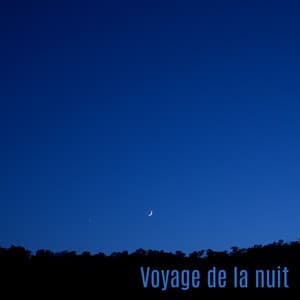 Voyage de la nuit: Rétrospective rêves, Pas de soucis - Sophrologie musique d'ambiance