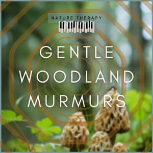 Gentle Woodland Murmurs - Nature Therapy