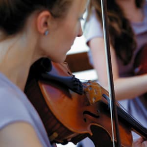 Serene Sounds: Orchestra for Pets - Jason Humphries