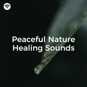 Peaceful Nature Healing Sounds - Solfeggio Mind