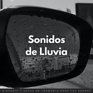 Sonidos De Lluvia: Sinfonía Y Gotas De Tormenta Para Tus Perros - Sonidos de Lluvia para Relajarse
