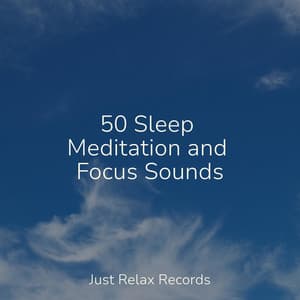 50 Sleep Meditation and Focus Sounds - Study Hard