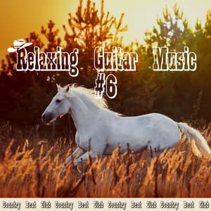 Relaxing Guitar Music #6 - Country Beat Club