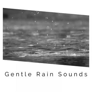 1 Hour of Gentle Rain Sound Recordings - White Noise Rain