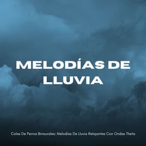 Colas De Perros Binaurales: Melodías De Lluvia Relajantes Con Ondas Theta - Sistemas Binaurales