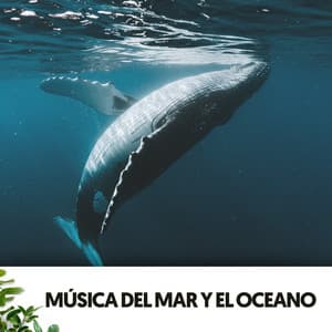 Música del Mar y el Oceano: Profunda sinfonia - Solfeggio Frequencies 528Hz