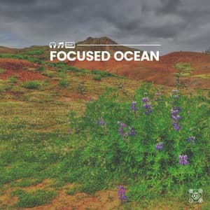 Focused Ocean - Stress Relief Calm Oasis