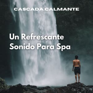 Cascada Calmante: Un Refrescante Sonido Para Spa - Cascadas Relajantes