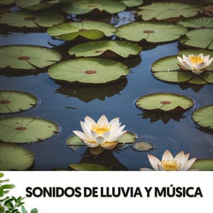 Perros y Gatos Felices: Melodías peludas bajo la Lluvia - Relajacion