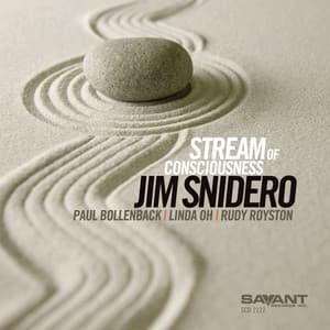 Stream of Consciousness - Jim Snidero
