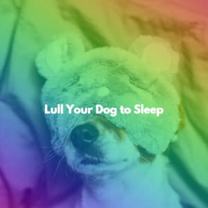Lull Your Dog to Sleep - New York Jazz Bar
