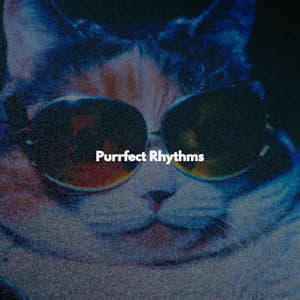 Purrfect Rhythms - Elevator Music Project