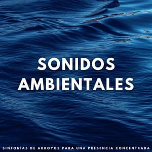 Sonidos Ambientales: Sinfonías De Arroyos Para Una Presencia Concentrada - Ruido de agua