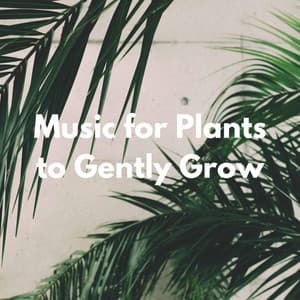 Music for Plants to Gently Grow - Calma