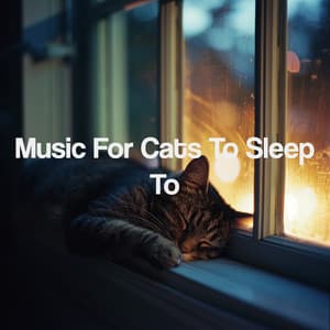 Music For Cats To Sleep To - Spa Music Relaxation Meditation