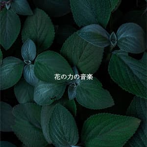 花の力の音楽 - Coffee Morning Jazz Deluxe