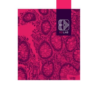 Floating Beyond Time - 8D Lab - Meditation Music