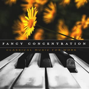 Fancy Concentration - Classical Music For Work