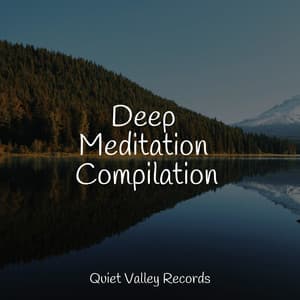 Deep Meditation Compilation - Nature Sounds Artists