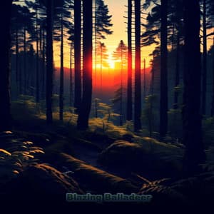 Blazing Balladeer - KachyHop