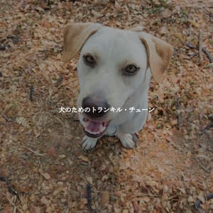 犬のためのトランキル・チューン - Cafe de Musica Instrumental