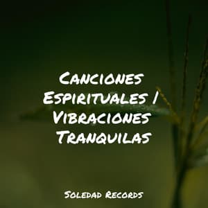 Canciones Espirituales | Vibraciones Tranquilas - Meditaciónessa
