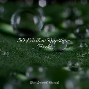 50 Mellow Rainstorm Tracks - Relajacion Del Mar