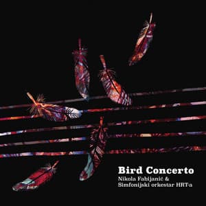 Bird Concerto - Nikola Fabijanić