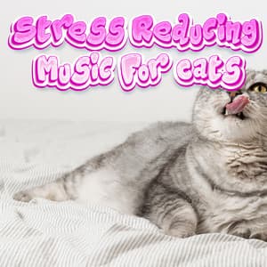 Kitty Cat Background Music To Lower Stress & Anxiety - Stress Reducing Music For Cats