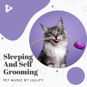 Sleeping And Self Grooming - Pet Music by Lullify