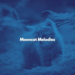 Mooncat Melodies - Música para dormir Gatos