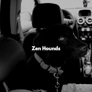 Zen Hounds - Calming Dog Jazz