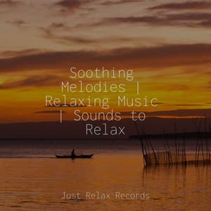 Soothing Melodies | Relaxing Music | Sounds to Relax - Powerthoughts Meditation Club