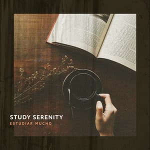 Study Serenity - Estudiar Mucho