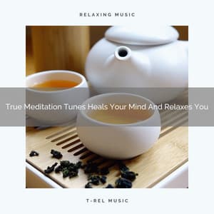 True Meditation Tunes Heals Your Mind And Relaxes You - Spiritual Relax